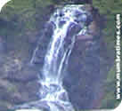 Photo Gallery